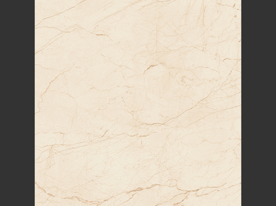 駱駝磁磚、駱駝磁磚品牌